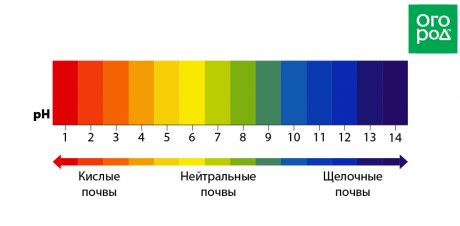 Можно ли садовую побелку использовать как раскислитель почвы